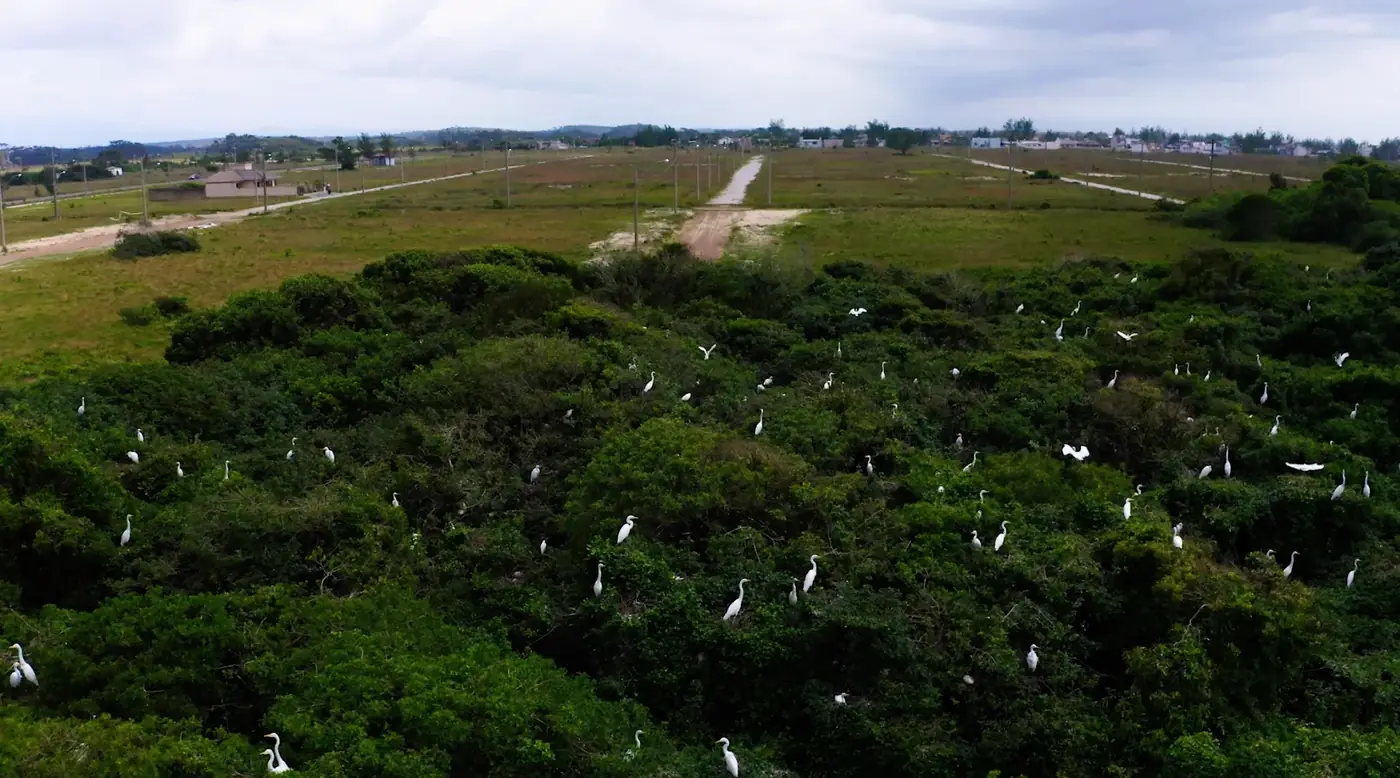 Parque do Ninhal com mata nativa preservada e aves